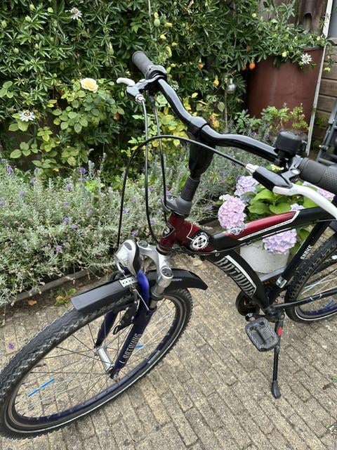 Jongensfiets Batavus Snake, 26 inch wielen, 3 Shimano naafversnelling