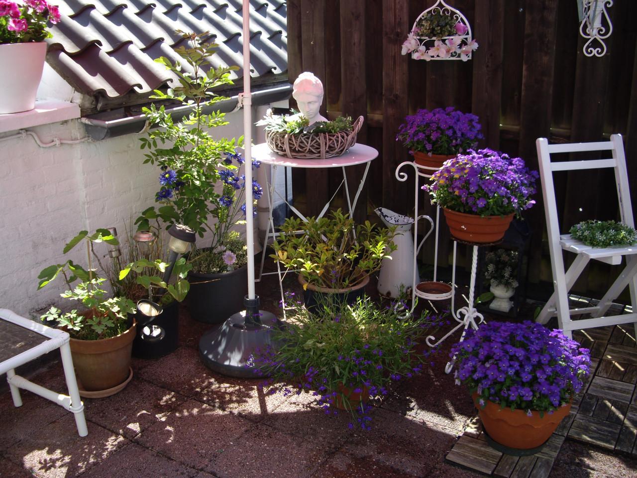 Wandkoffiemolen zeer oud