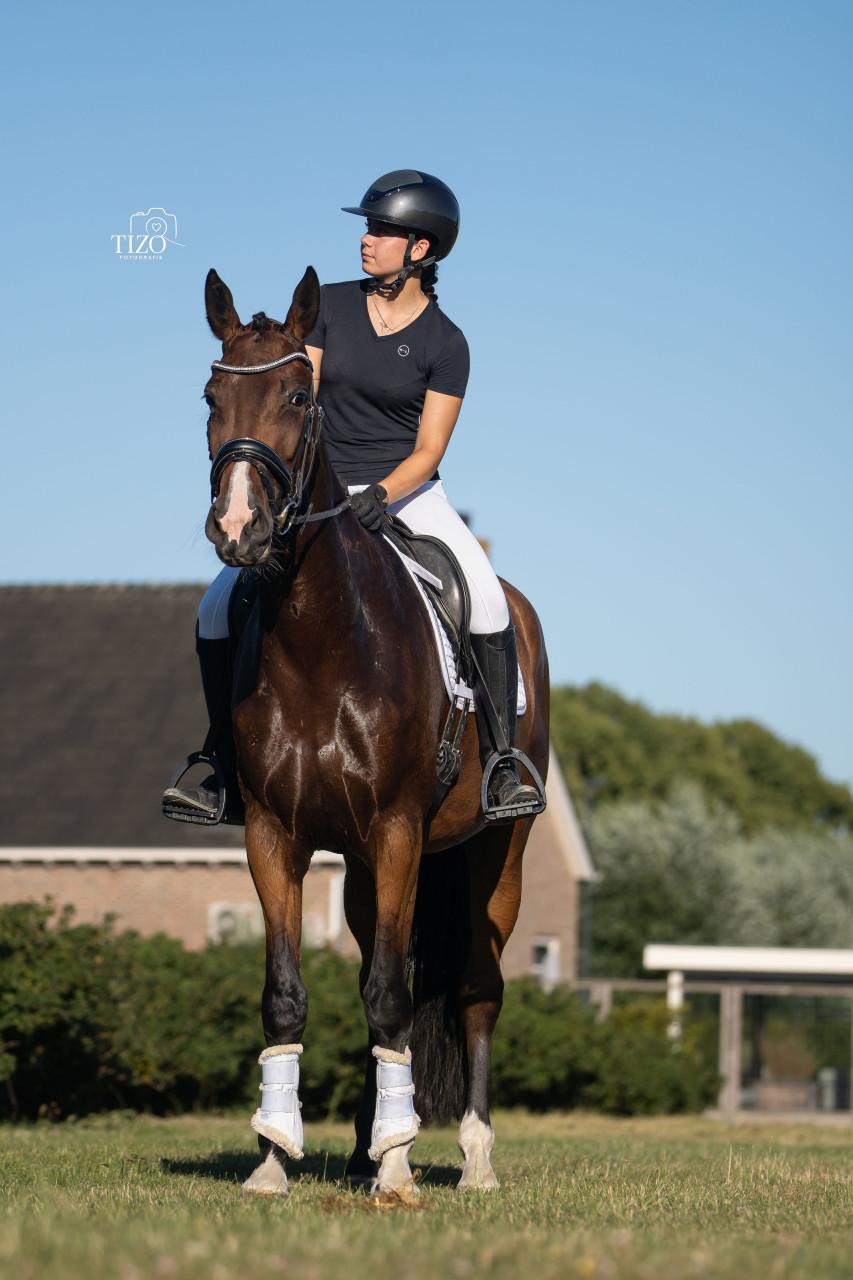 5 jarige merrie v. Mexpression