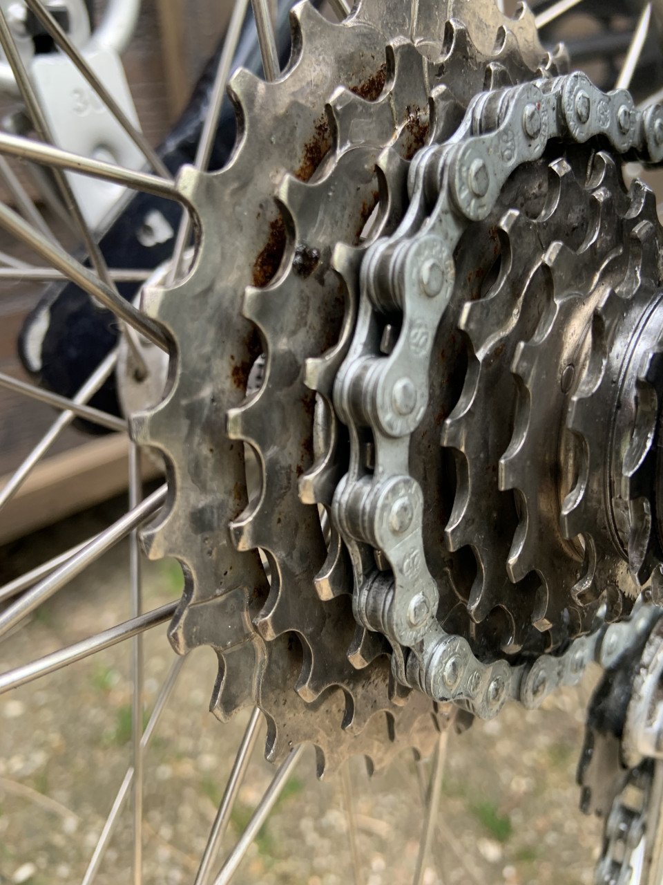 Damesfiets Gazelle Medeo Track & Trail 24 versnellingen. Sportief en mooi.