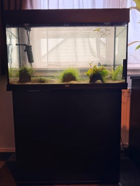 Aquarium
