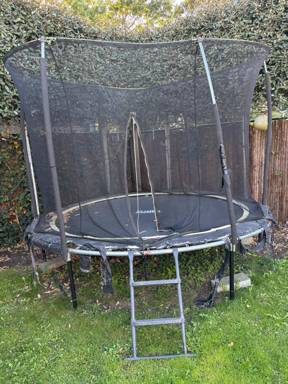 Salta trampoline 300cm