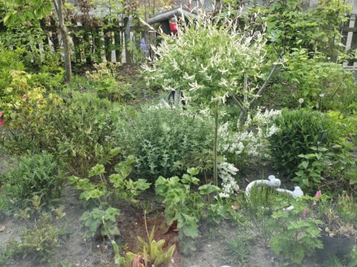 GEZOCHT in Goes Hulp voor de tuin!!