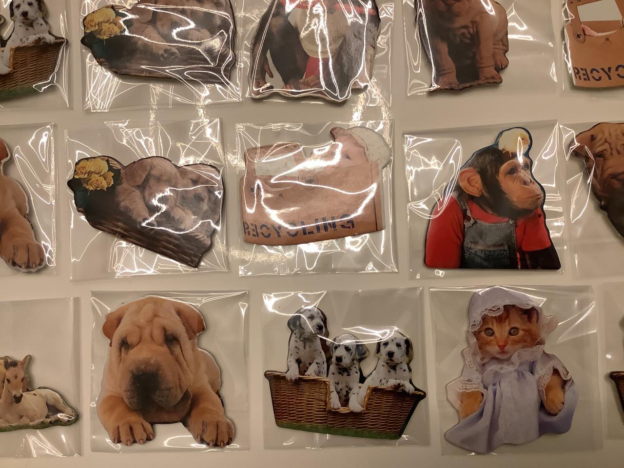 Partij super leuke magneetjes. ( partij 22)