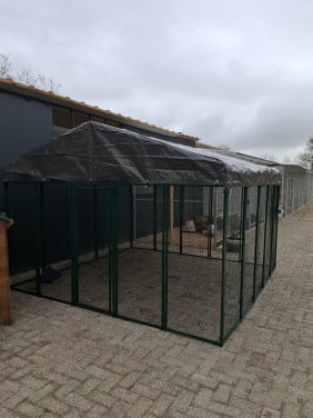 Kippenren - Cucciolotta 3x3 meter