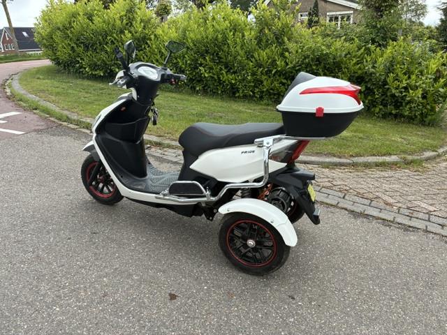 GEEN RIJBEWIJS ? NIET NODIG MET DEZE STOERE NIPPONIA PRIDE !