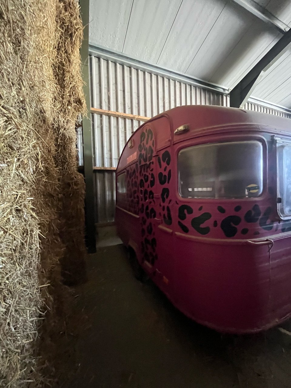 Festival panter caravan te koop!