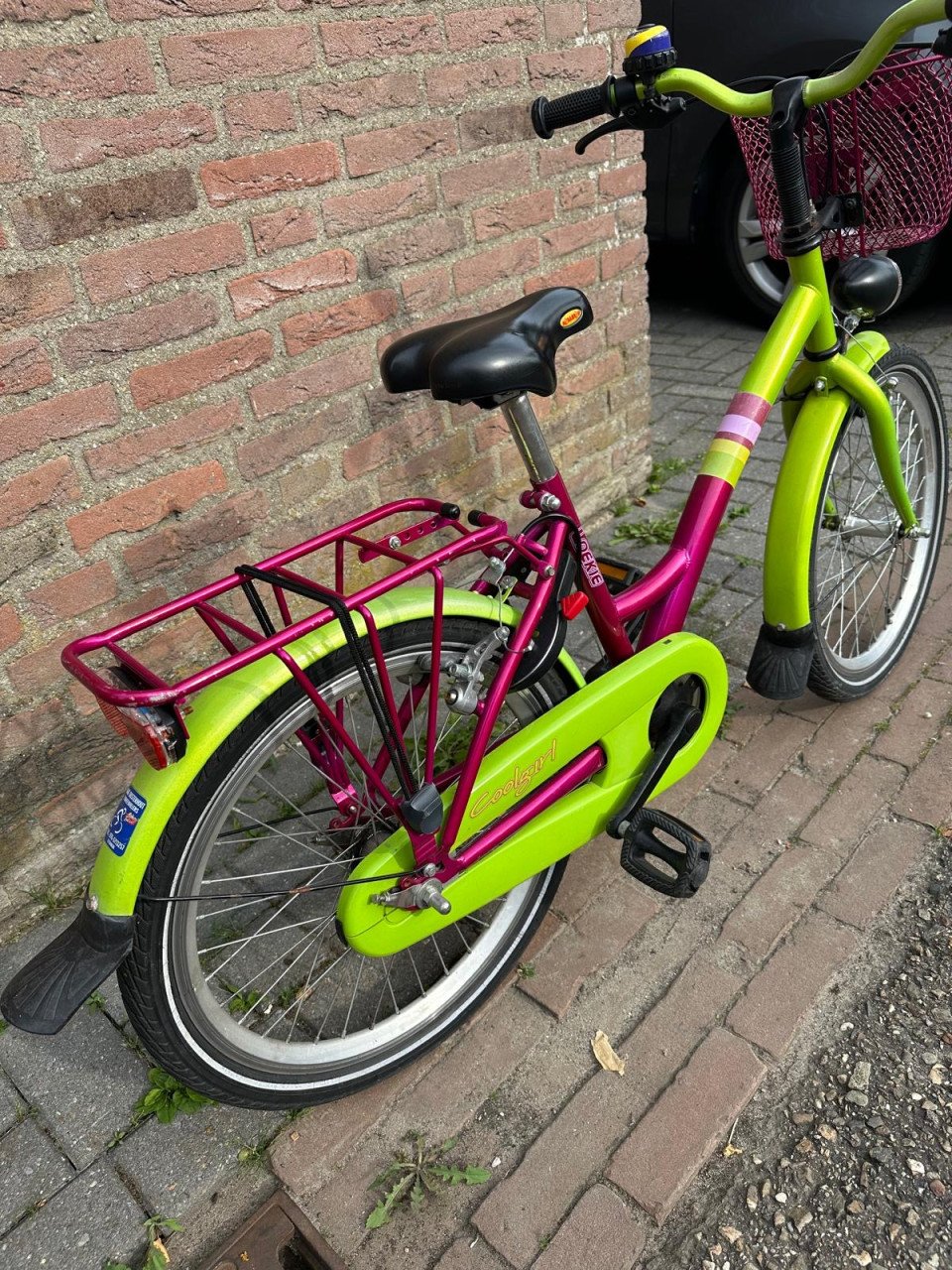 Meisjes fiets