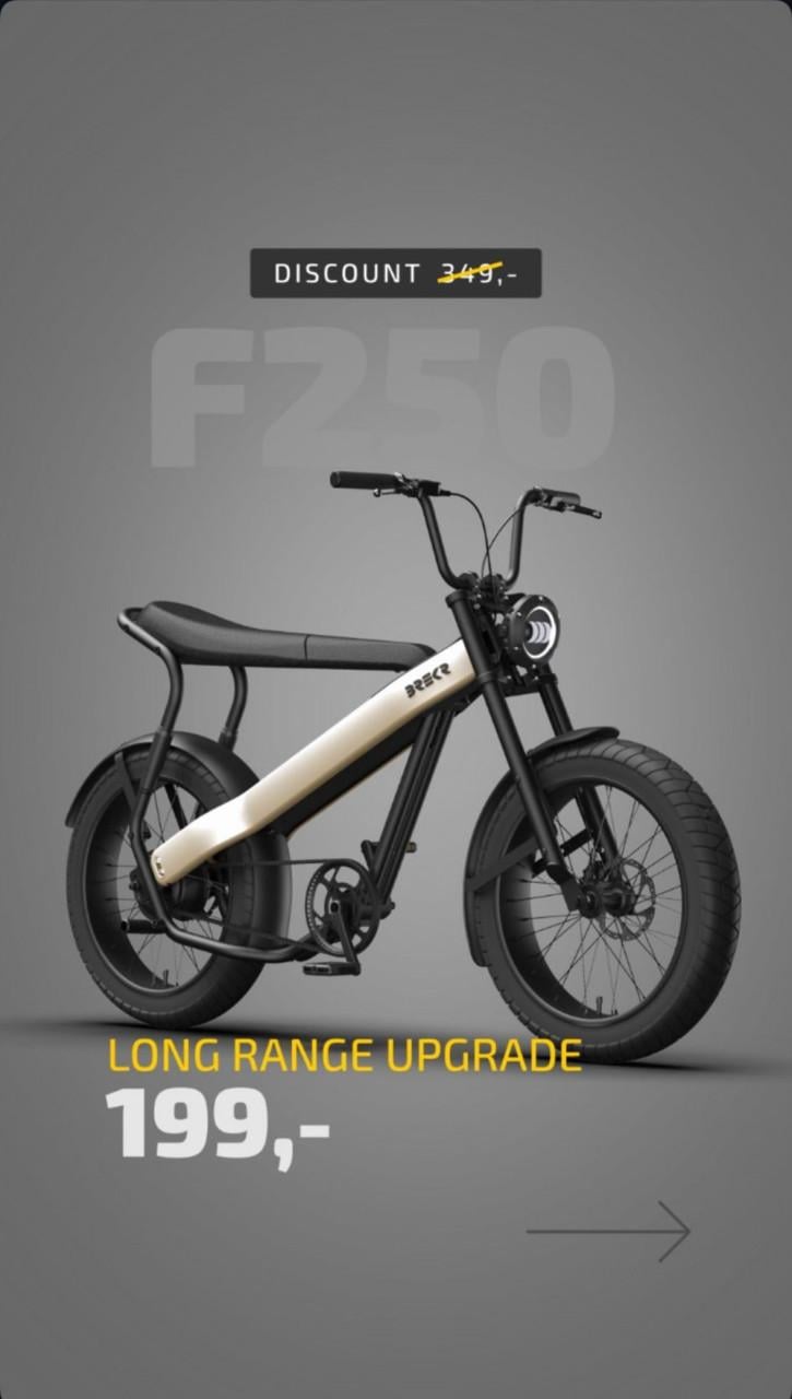 BREKR F250 stoere E-BIKE
