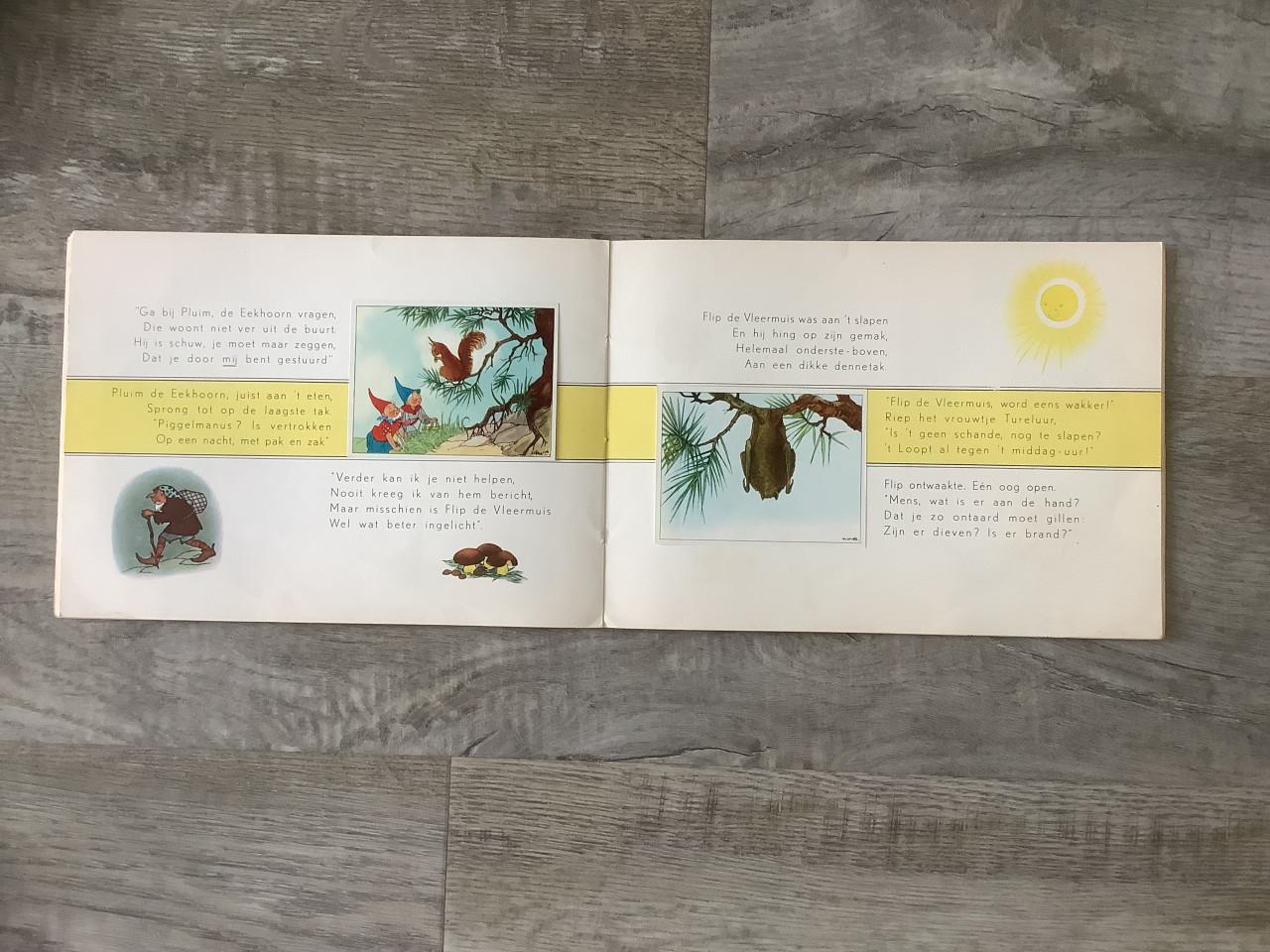 Boek - De Wonderschelp, een nieuw avontuur van Piggelmee