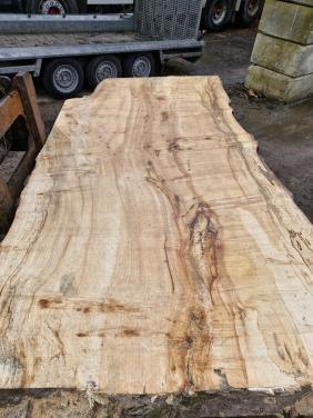 Boomstam tafelbladen