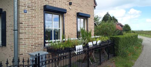 Vlinder,- bijen,- en vaste planten: €1,25 p/st in het plantenkraam :-)