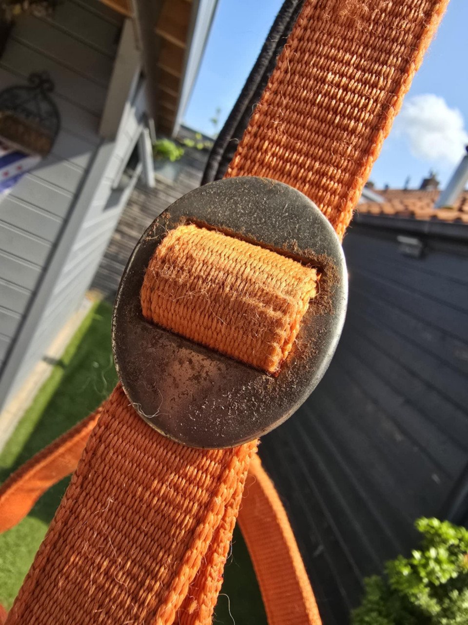 Paardenhalster maat cob