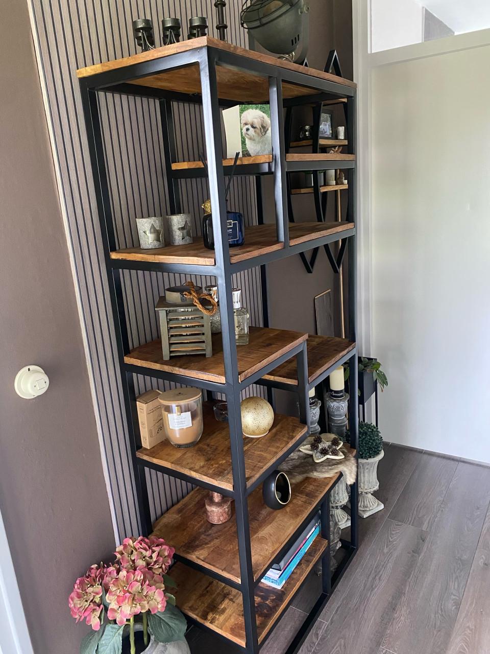 Mooie mangohouten kast