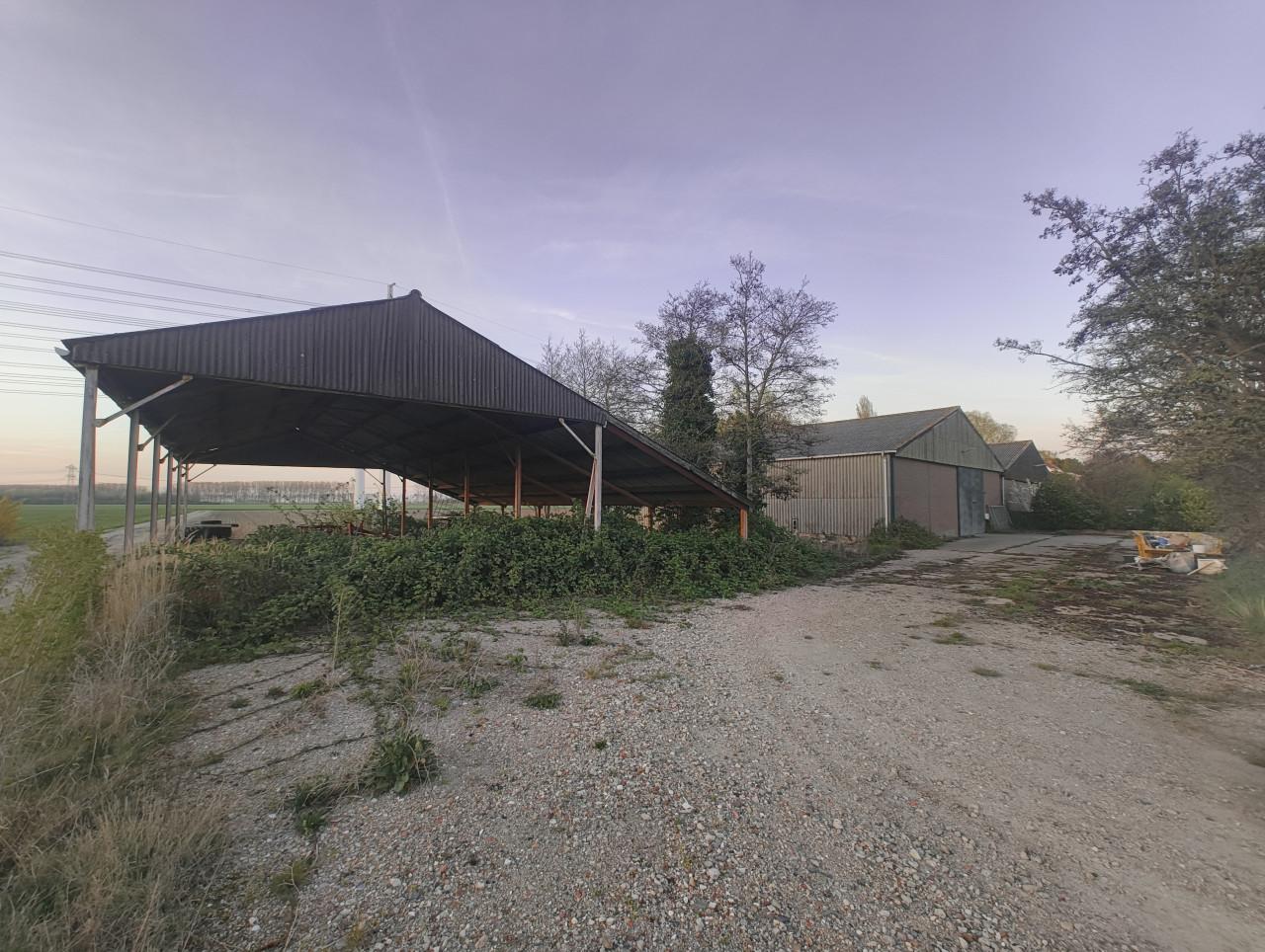 TE HUUR - Loods van 400 m² in het buitengebied van Borssele