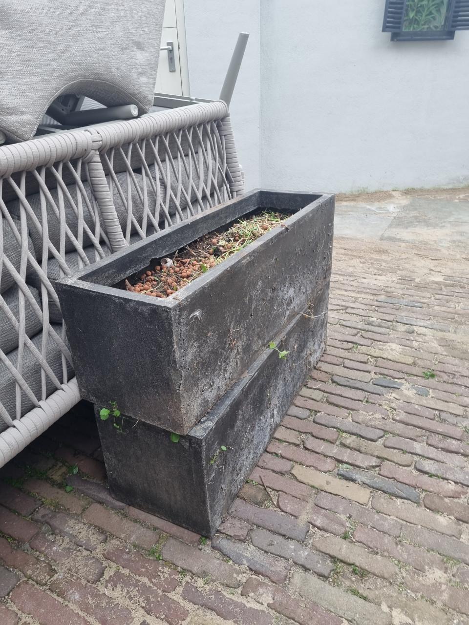 Gratis bloembakken ophalen