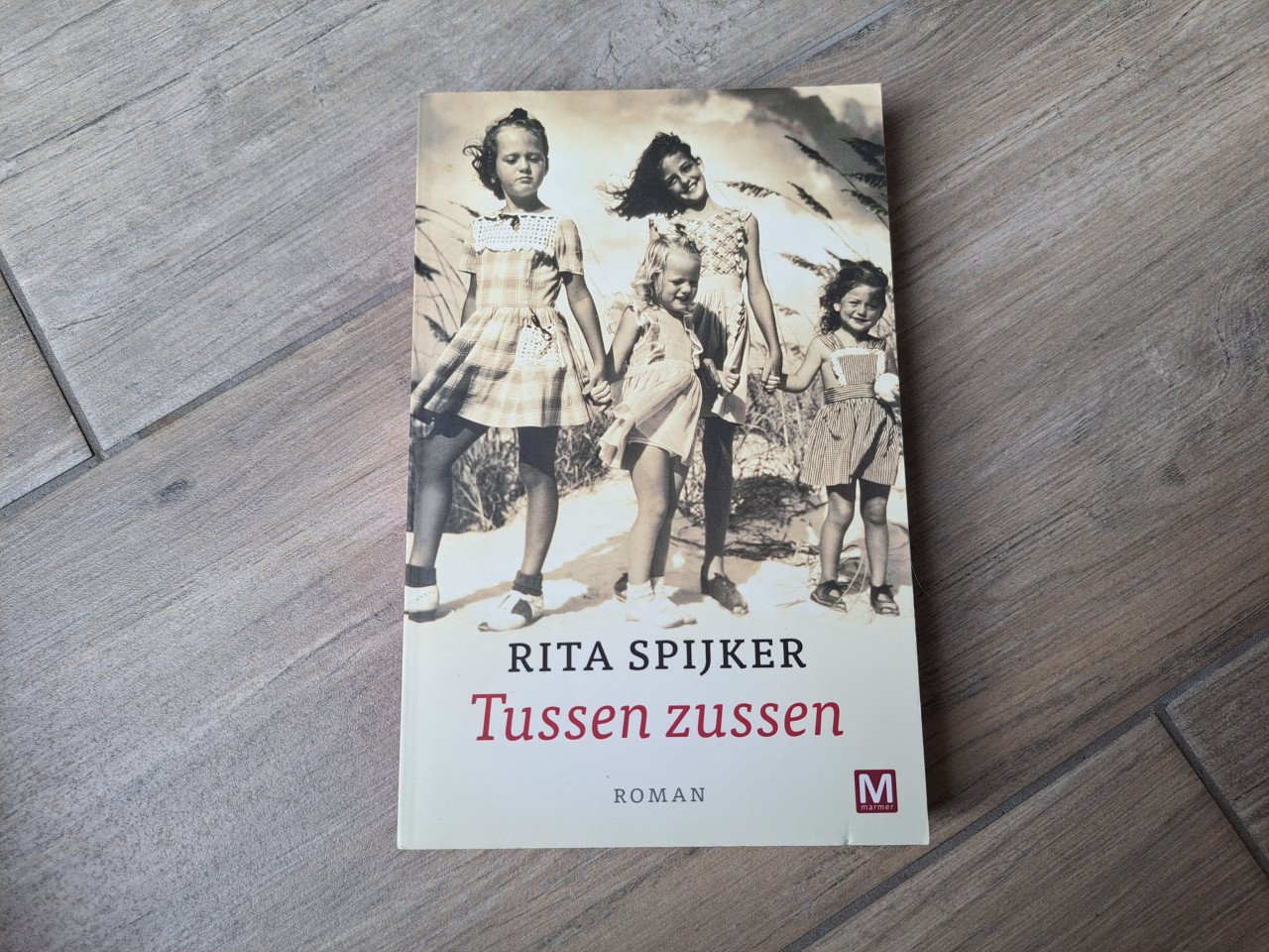 Roman Tussen zussen van Rita Spijker