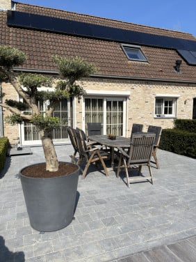 Tuinset 6 stoelen ( verstelbaar) tafel en kussens