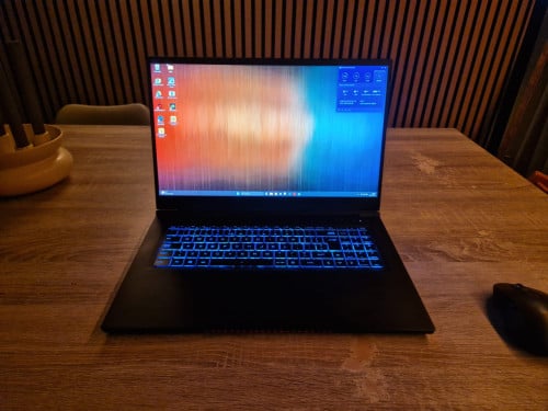 SKIKK LYNX 3 | 17,3" QHD | i7 | 32GB RAM | RTX 3070