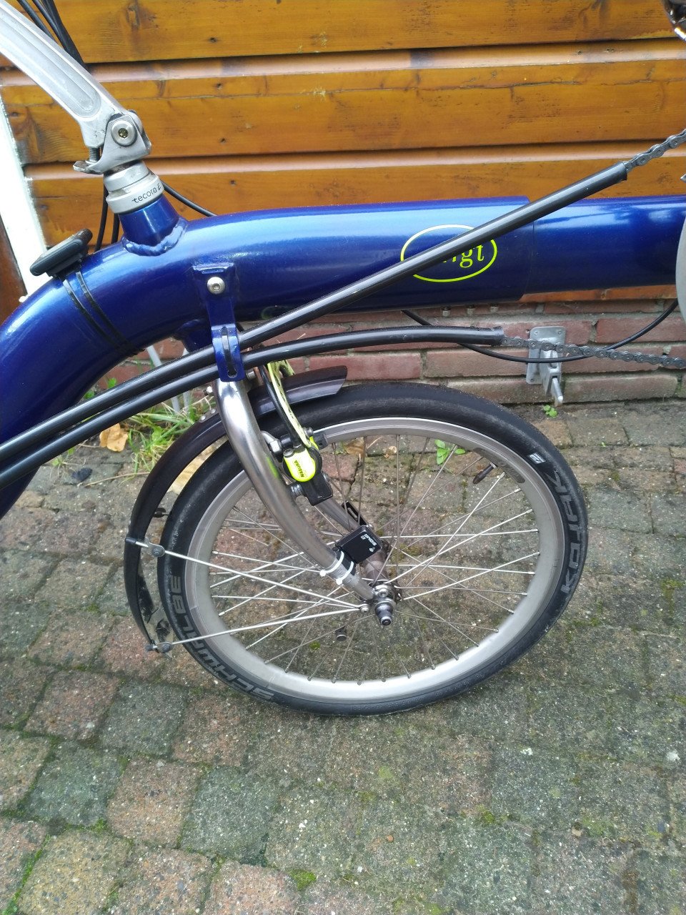 Ligfiets Alligt Kruiser