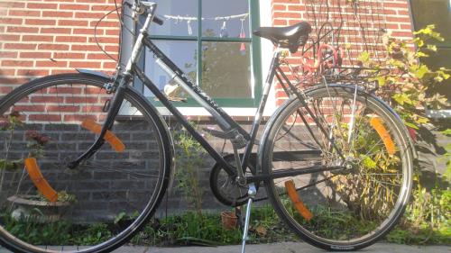 Fiets dames