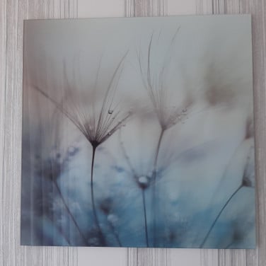 2x GLAZEN SCHILDERIJEN 50x50
