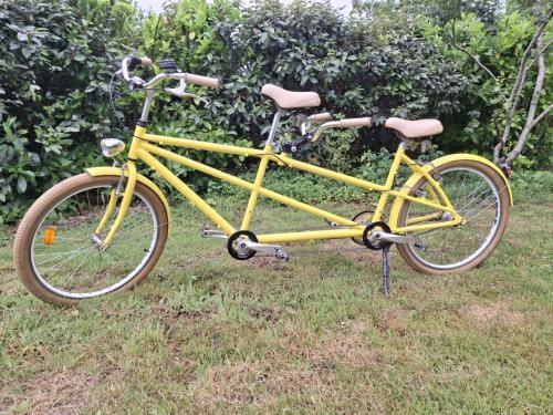 ZONNIG GELE TOFFE TANDEM FIETS