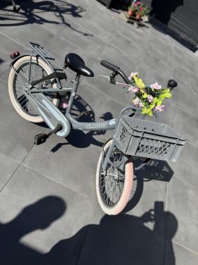 Meisjes fiets 20 inch