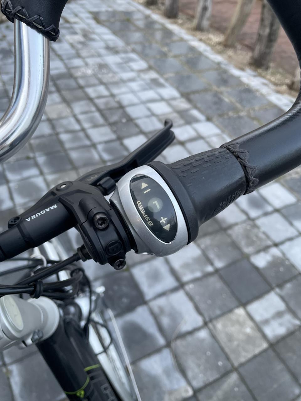 Rih Omega elektrische damesfiets nette staat !!!