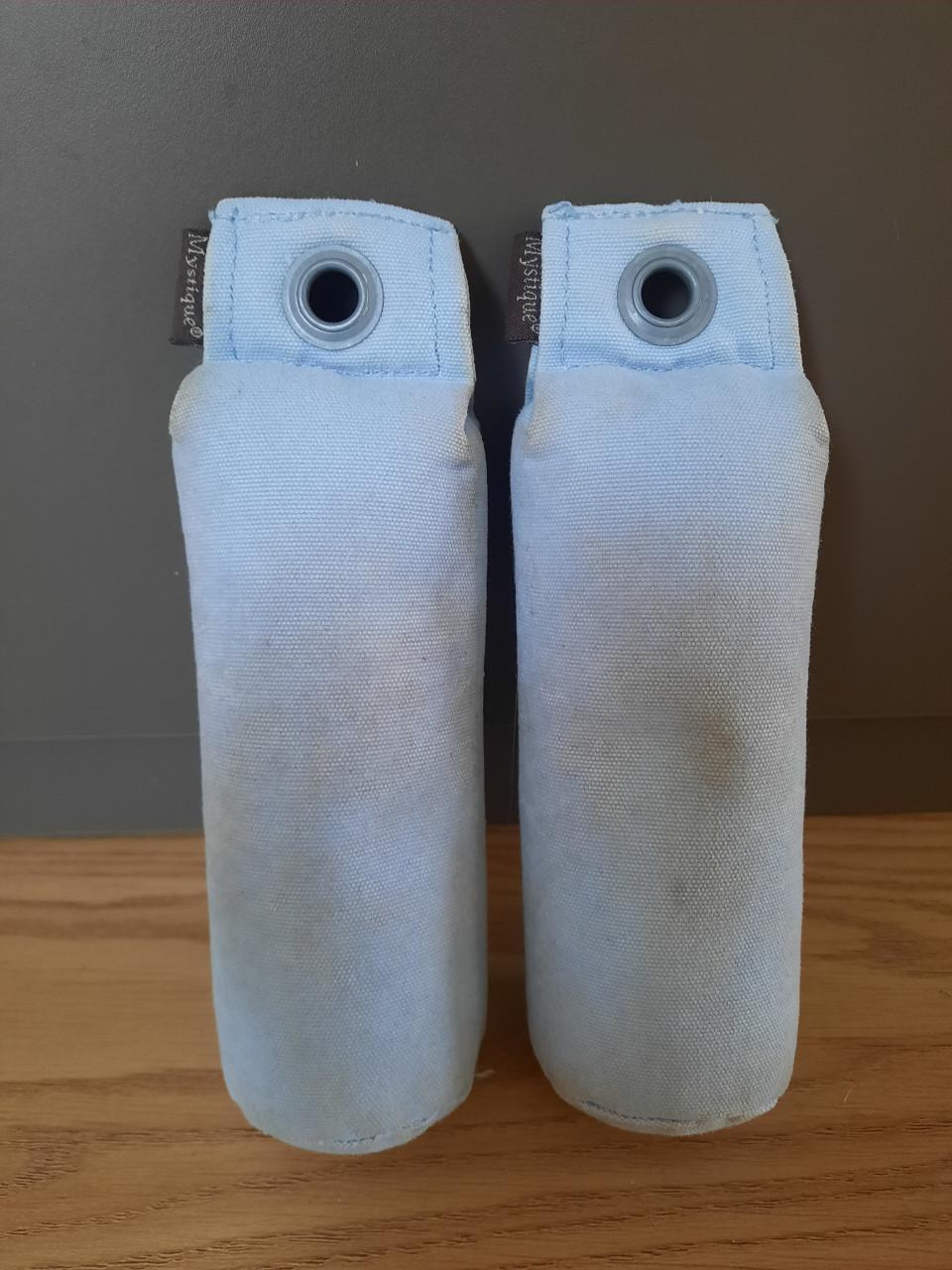 Dummy's Mystique hondentraining