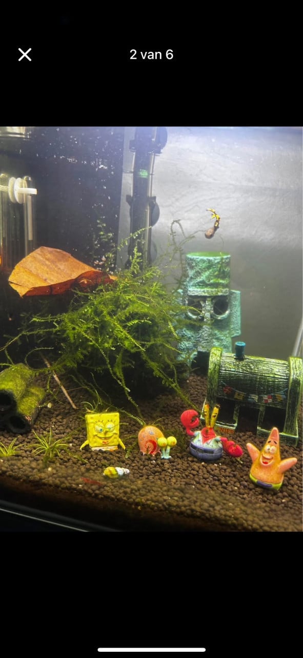 Aquarium