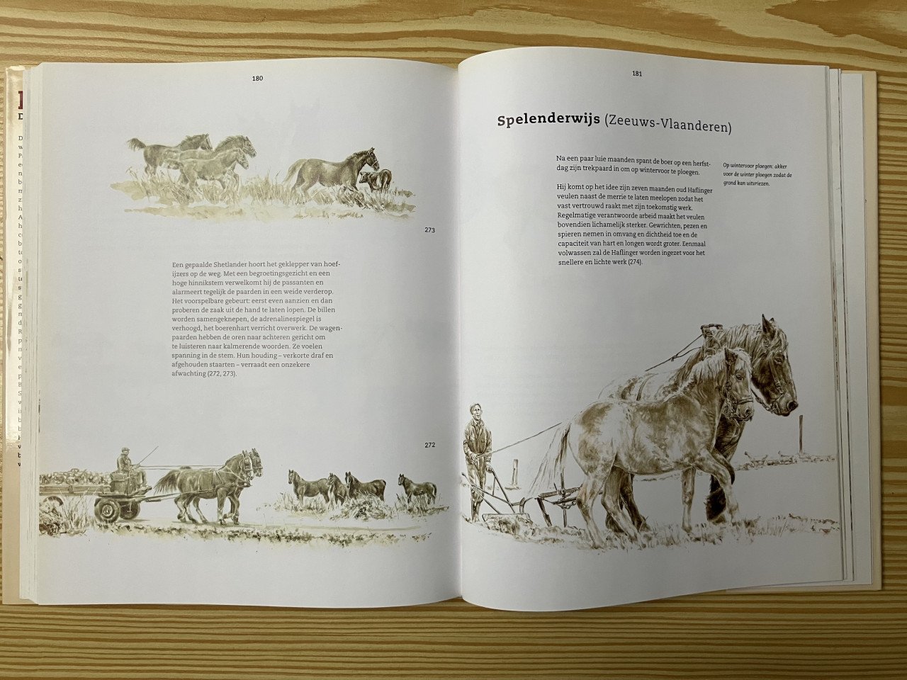 Boeken over paarden