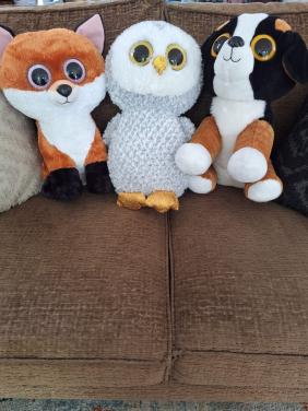 Grote Ty knuffels (3x)