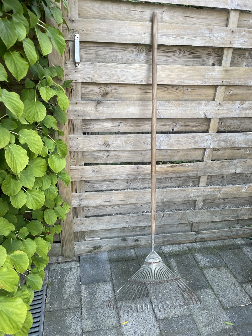 Te koop  Bladhark met steel