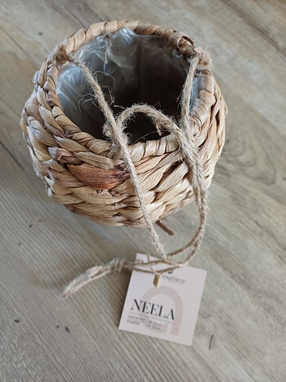 Plantenhanger waterhyachint nieuw
