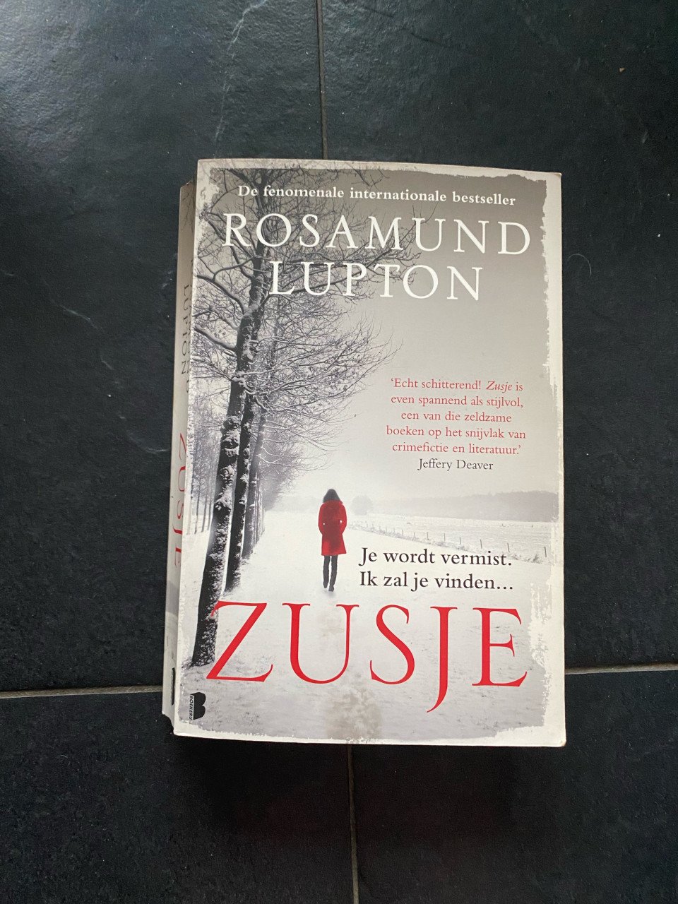 Te koop boek zusje
