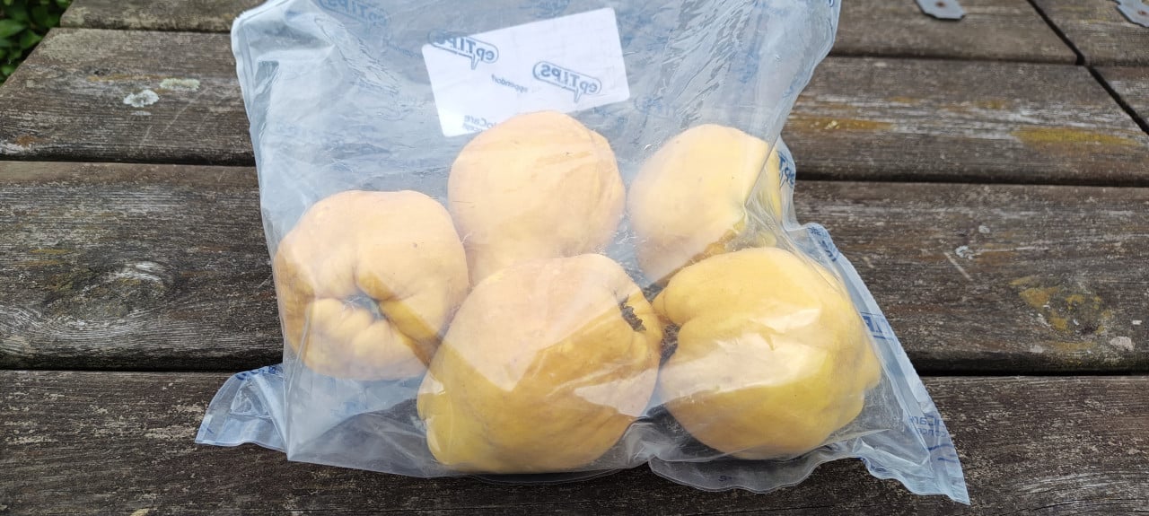Biologische kweeperen 2 kg voor € 3,00 en steun Stichting Sint Helpt !