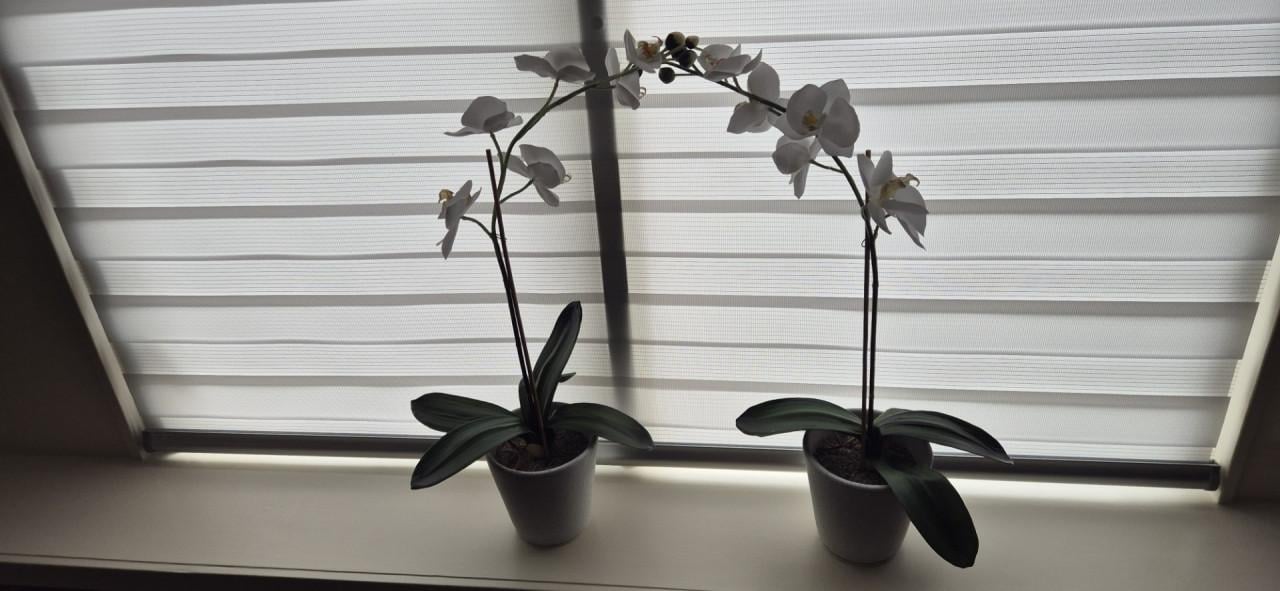 Orchidee kunstbloem wit
