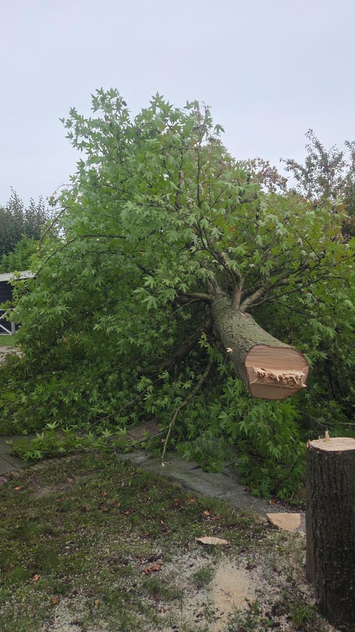 Tuinaanleg & Tuinonderhoud