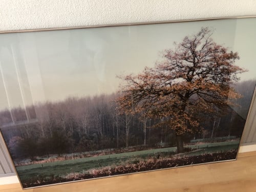 Fotoschilderij Paul Huf