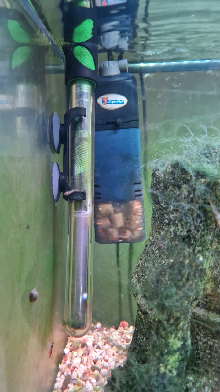 Compleet aquarium met kast