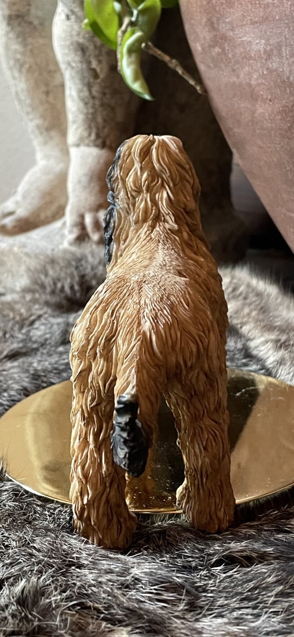 Afghaanse windhond en setter