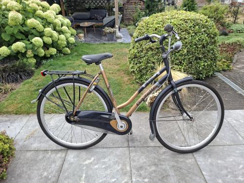 Gazelle free