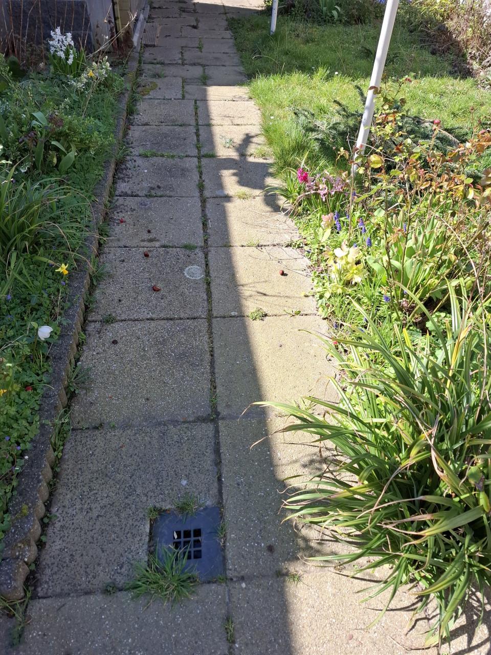 Tegels gratis af te halen