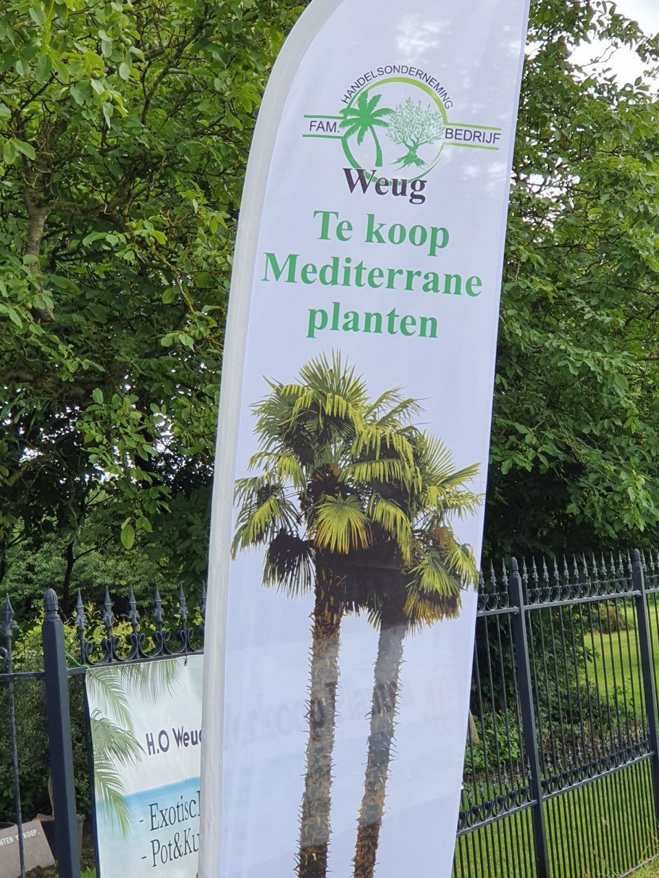 Lampenpoetsers