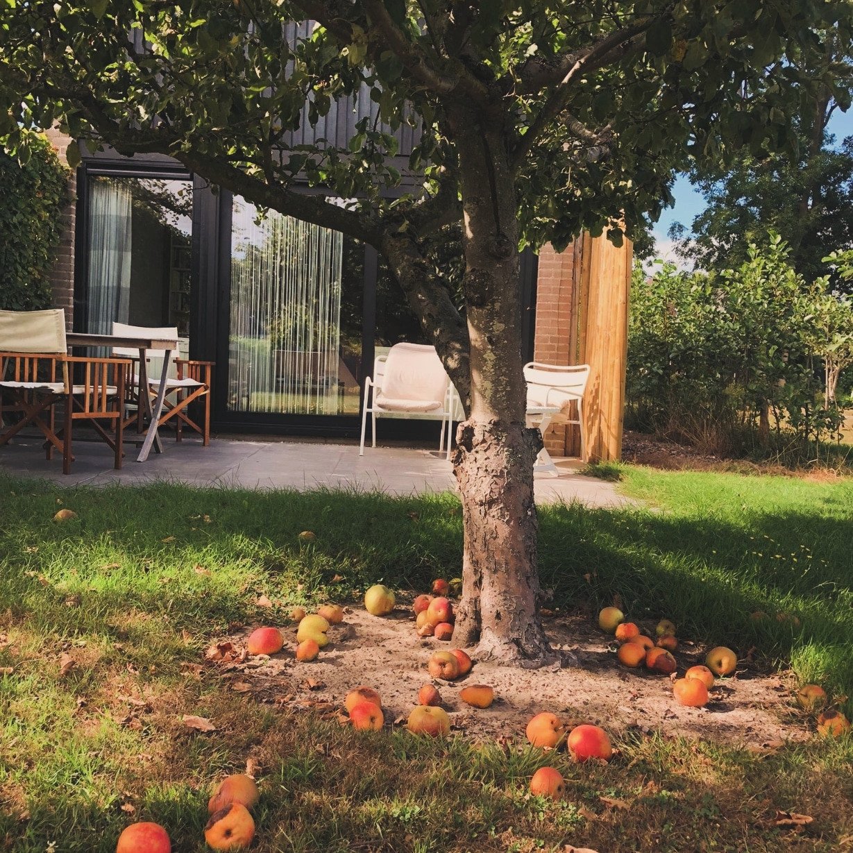 Vakantiewoningen te huur Burgh Haamstede