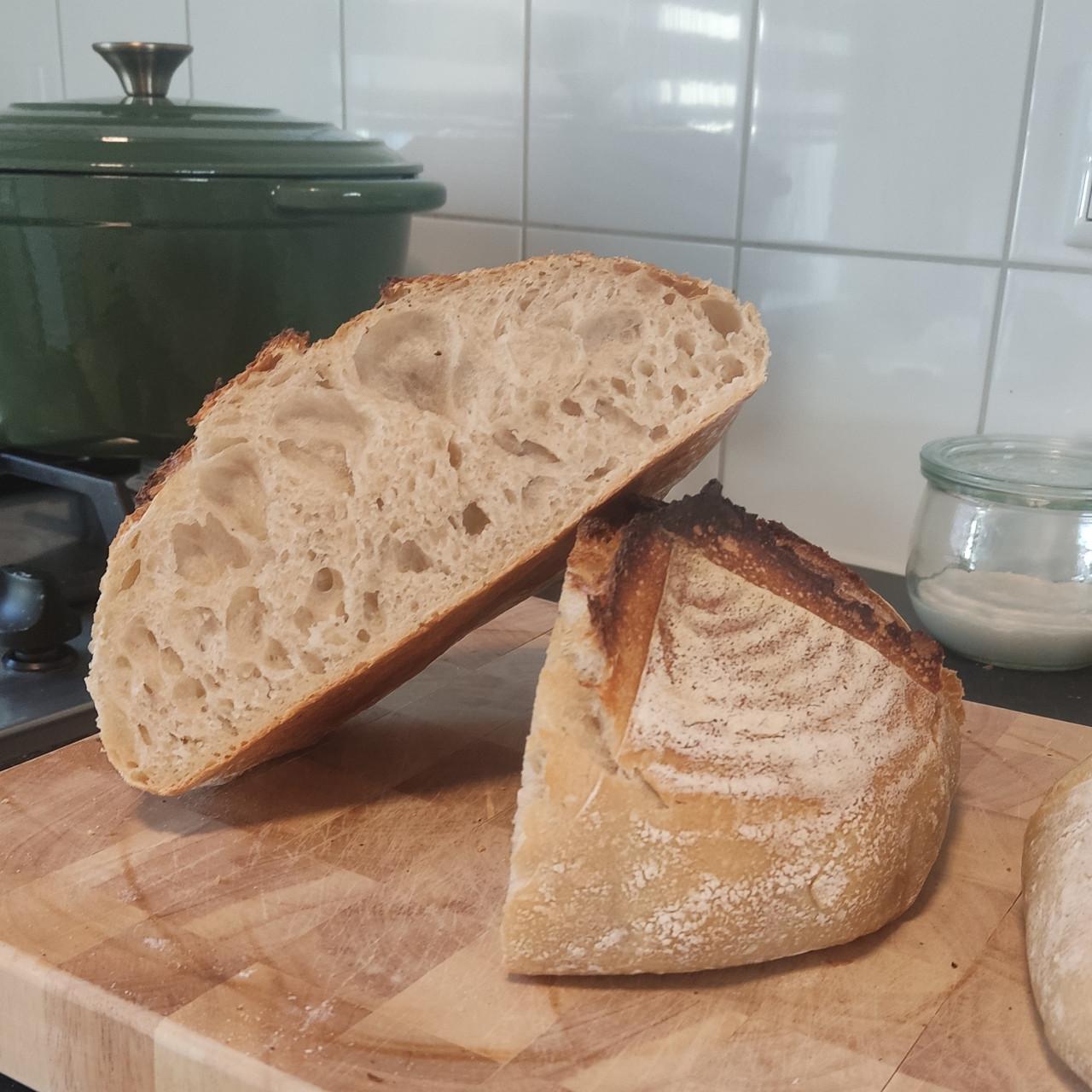 Gedroogde zuurdesemstarter