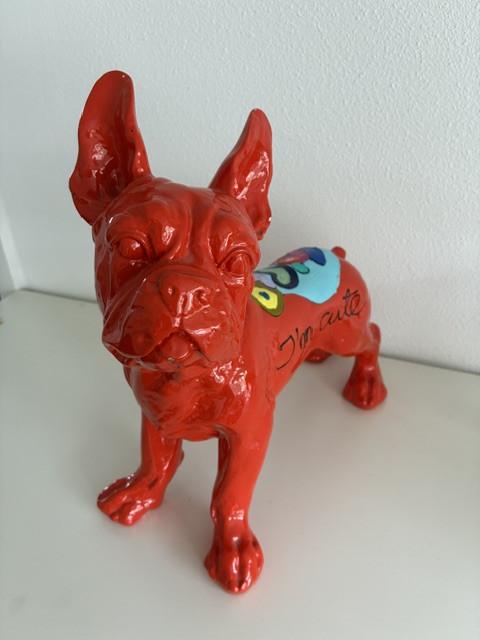 Wove-dogs van Hannes d'Haese