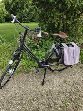 Gazelle Eclipse Limited Edition 8V – 57 cm
