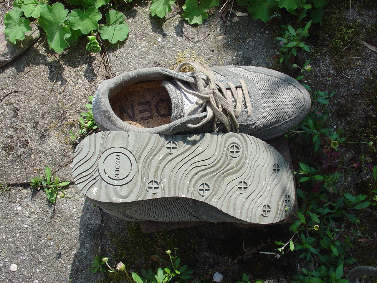 Schoenen sneakers 'Woden' maat 39